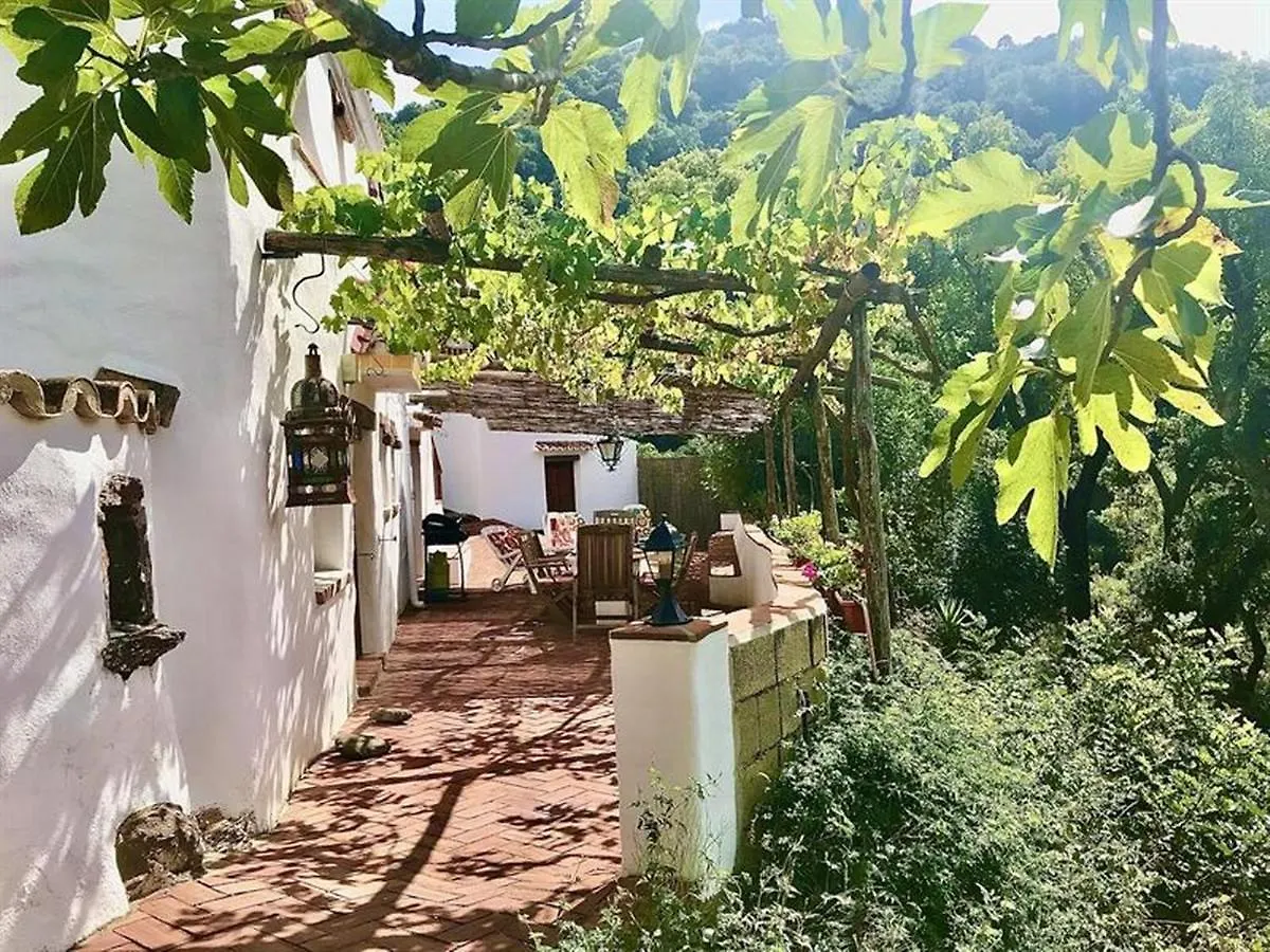Nature Retreat In The Sierra Bermej Villa Genalguacil Holiday home